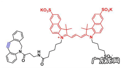 DBCO-trisulfo-Cyanine3.5，二苯并环辛炔-二磺酸-Cy3.5 的应用分享