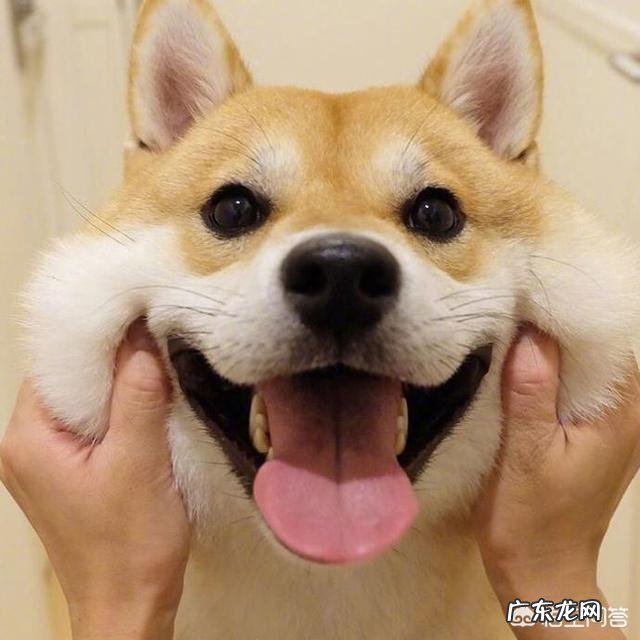 如何经营好社区生鲜店 如何开好一家社区生鲜便利店