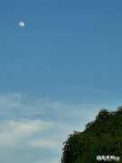 茶叶加盟店一般需要多少钱呢 茶叶加盟店的茶叶要如何经营