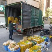 百世快递为什么停运了 百世快递是否会倒闭 原因是什么