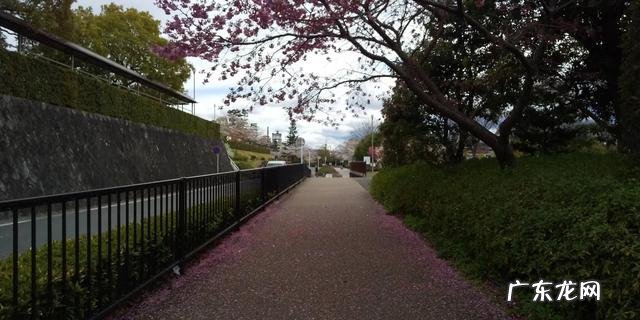 日本是一个怎样的国家日文版 日本是一个怎样的国家