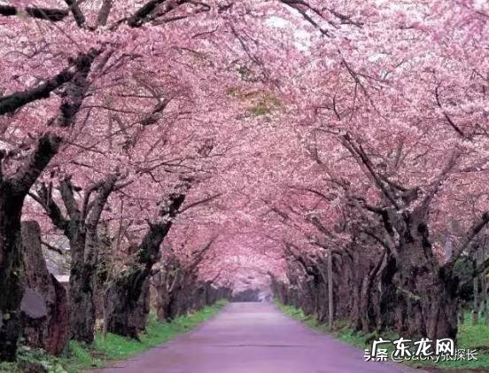 日本是一个怎样的国家日文版 日本是一个怎样的国家