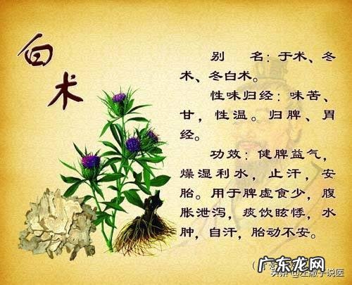 什么人不能服白术 白术虽好,为什么有的人不能吃?