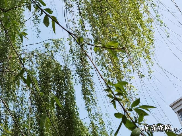 打完新冠疫苗能吃别的药吗?