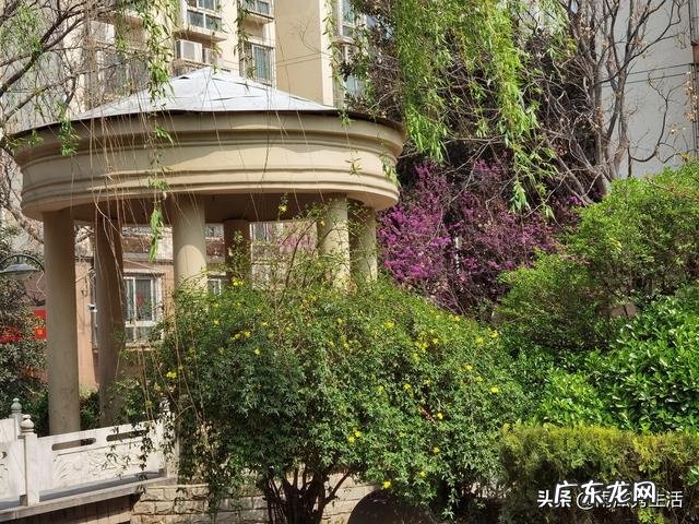 打完新冠疫苗能吃别的药吗?