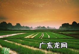 2017年芒种会下雨吗？2017年芒种雨好吗？