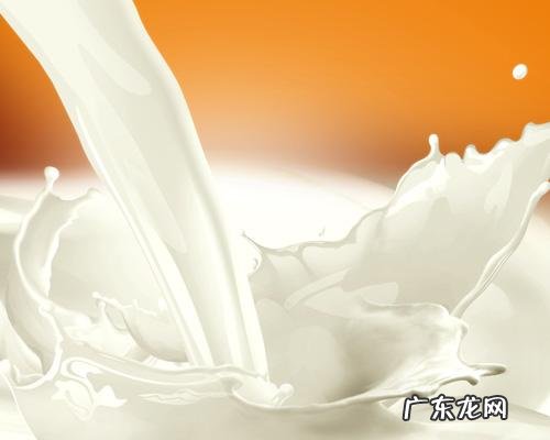 有哪些食物富含丰富的钙?