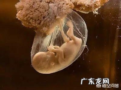 刚怀孕应该马上停掉水乳护肤吗冬天脸干擦什么呢