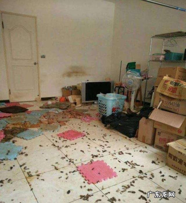 大学毕业后合租好,还是自己一个人住好