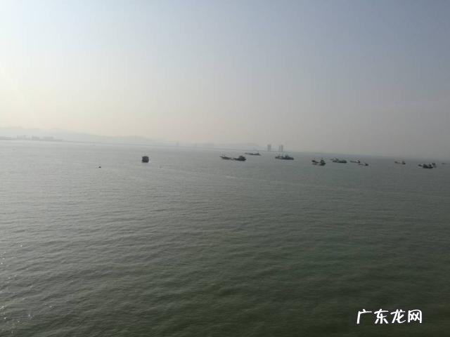 长期生活在海南的外省人大多数来自哪里他们生活得怎么样