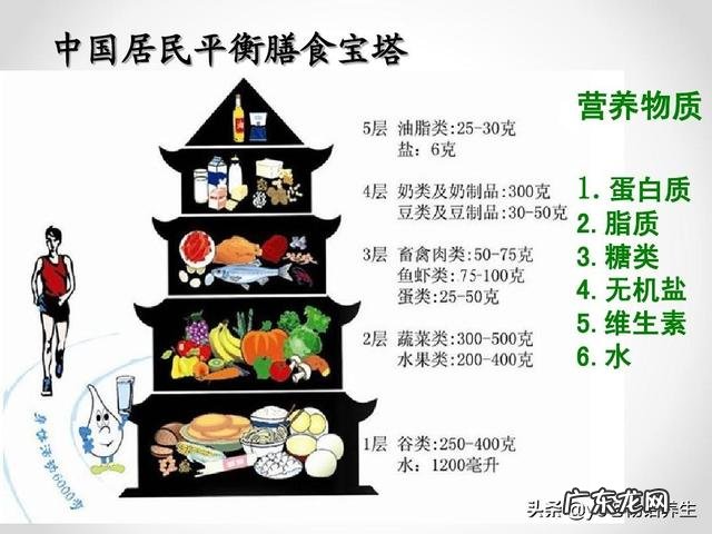 米饭的蛋白质和脂肪、碳水化合物含量个多少?