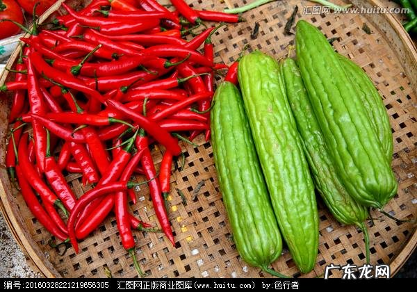 怎么做苦瓜不苦而很好吃 夏天多吃苦瓜有什么好处呢？苦瓜怎么做才好吃啊？