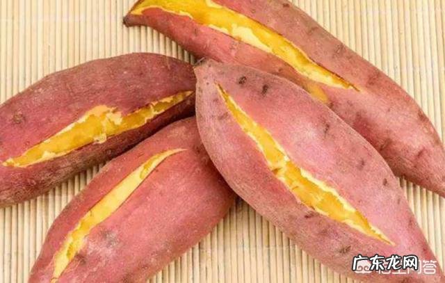 番薯有多少个品种,哪种好吃、产量高?