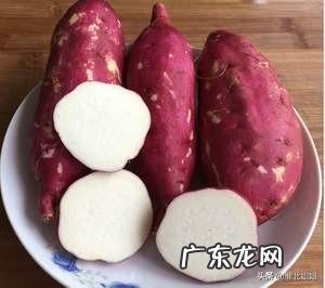 番薯有多少个品种,哪种好吃、产量高?