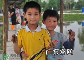 钓龙虾用什么时间最好?钓龙虾早上好还是晚上好?