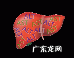 肝纤四项检查在确定肝硬化中有什么作用