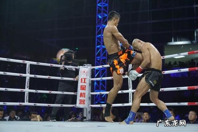 有人说“播求能把一龙打死”，你怎么看呢