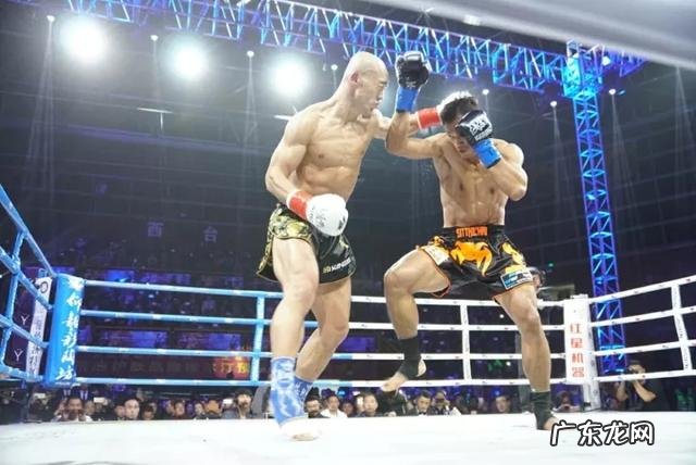 有人说“播求能把一龙打死”，你怎么看呢