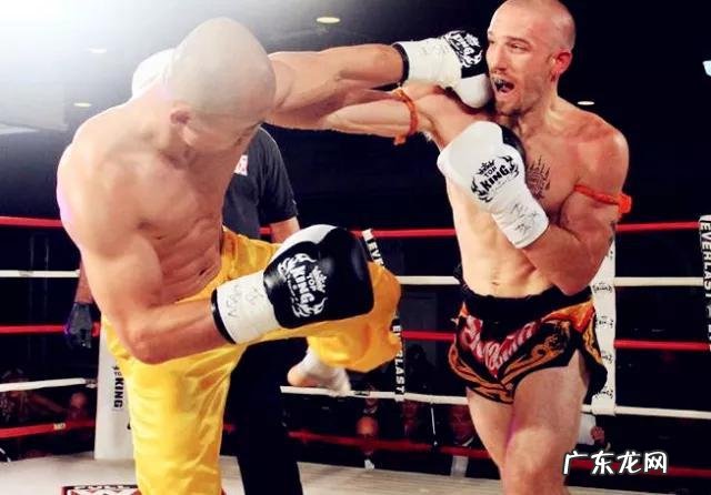 有人说“播求能把一龙打死”，你怎么看呢