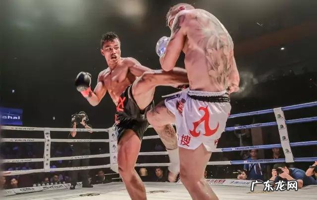 有人说“播求能把一龙打死”，你怎么看呢