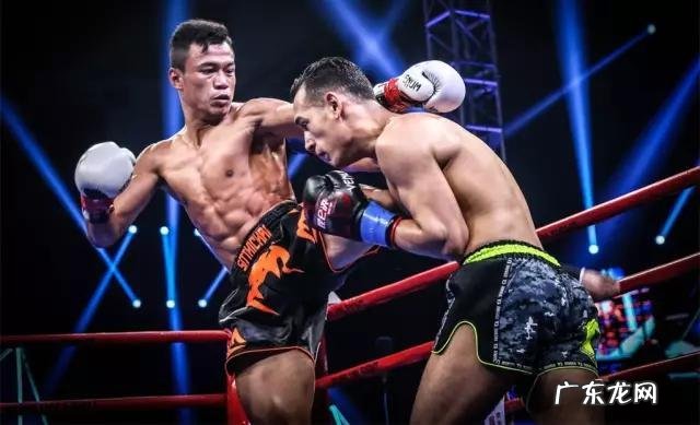 有人说“播求能把一龙打死”，你怎么看呢