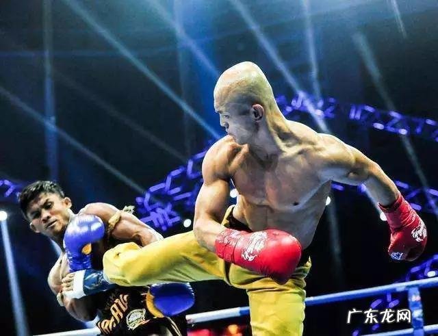 有人说“播求能把一龙打死”，你怎么看呢