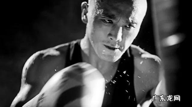 有人说“播求能把一龙打死”，你怎么看呢