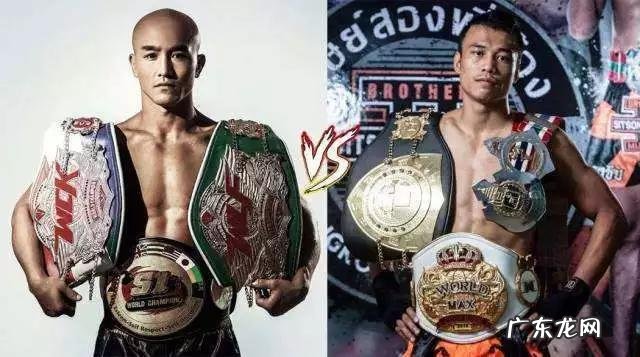 有人说“播求能把一龙打死”，你怎么看呢