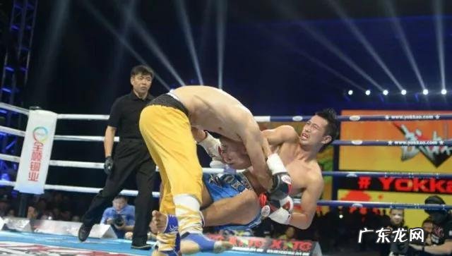 有人说“播求能把一龙打死”，你怎么看呢