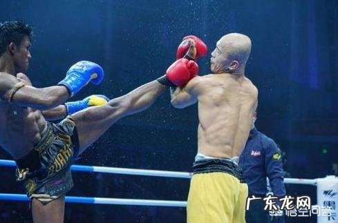 有人说“播求能把一龙打死”，你怎么看呢