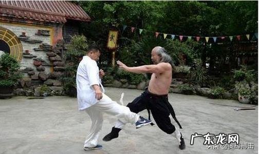 有人说“播求能把一龙打死”，你怎么看呢