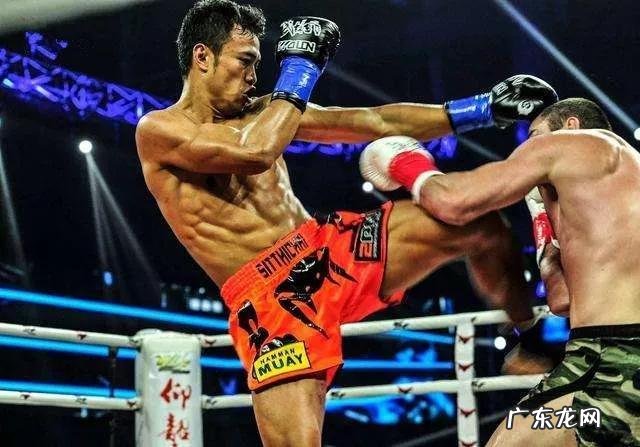 有人说“播求能把一龙打死”，你怎么看呢