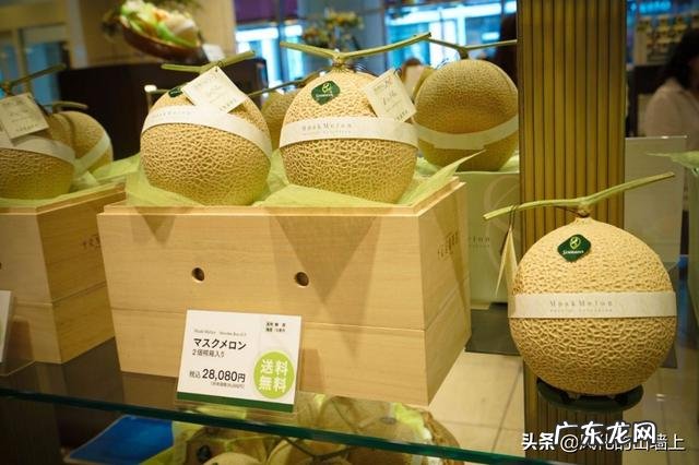 说一说在日本生活的真实感受？