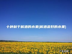 解酒最好的水果 十种利于解酒的水果