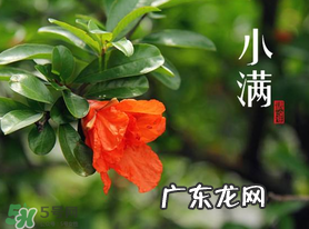 ?小满可以回娘家吗？?小满能回娘家吗？