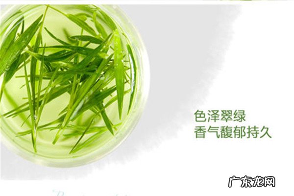 石竹茶怎么搭配好 什么人不适合喝石竹茶