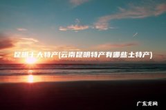 云南昆明特产有哪些土特产 昆明十大特产