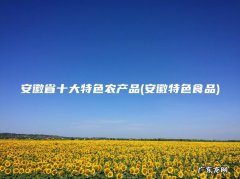 安徽特色食品 安徽省十大特色农产品