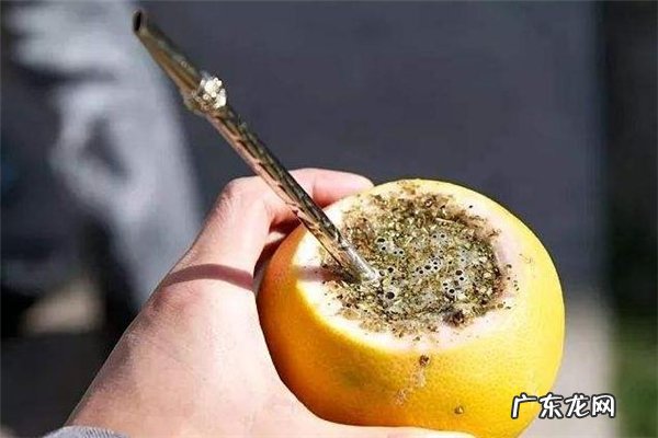 马黛茶是绿茶吗 马黛茶和绿茶哪个好