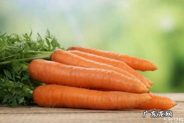 胡萝卜一天吃一根行吗 怎么挑选优质的胡萝卜