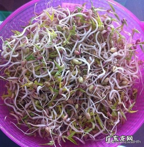 红薯叶子怎么炒的好吃 农村的红薯叶子,吃了有什么好处?能经常吃吗?