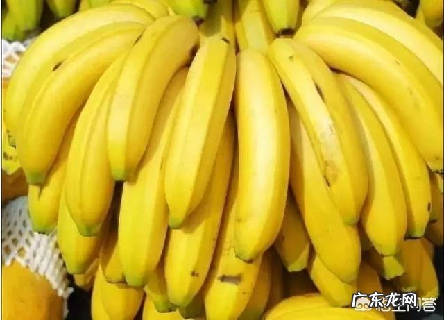 香蕉摘花什么时候最适宜?