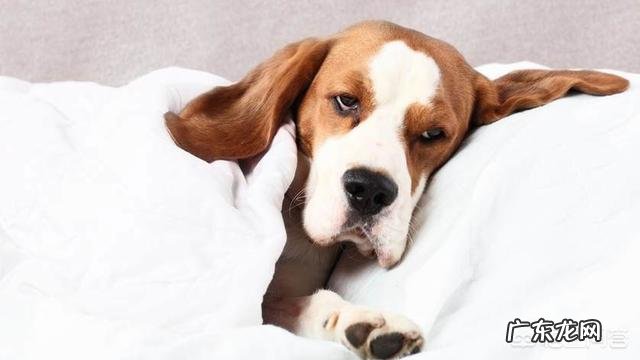 处方药和非处方药有什么区别？