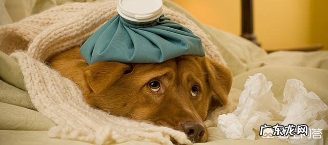 处方药和非处方药有什么区别？