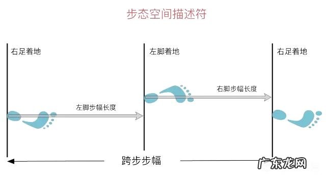 为什么举重运动员看起来脂肪含量都比较高