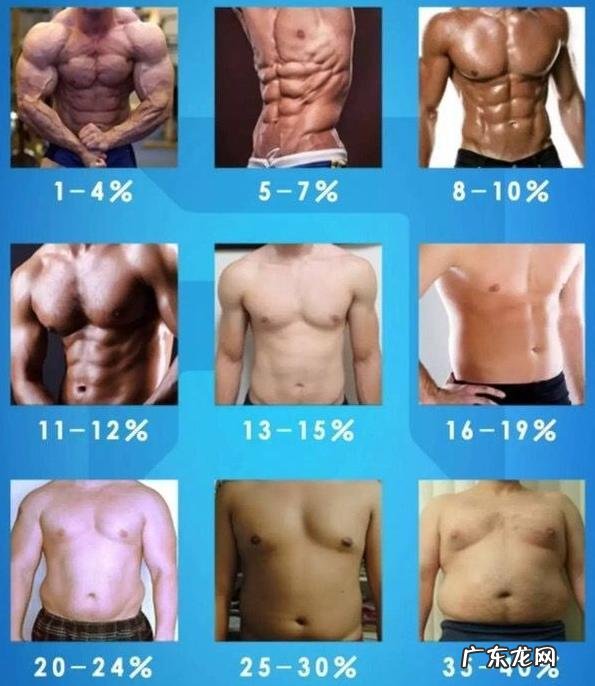 为什么举重运动员看起来脂肪含量都比较高