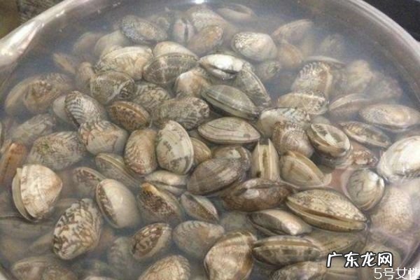 新鲜的花甲怎么挑选 挑选新鲜花甲的方法