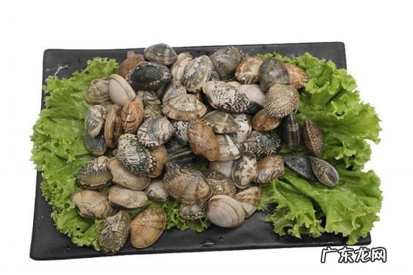 新鲜的花甲怎么挑选 挑选新鲜花甲的方法