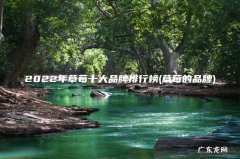 草莓的品牌 2022年草莓十大品牌排行榜