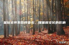 星际文件系统对音乐、媒体和文化的影响